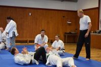 Bild (51)